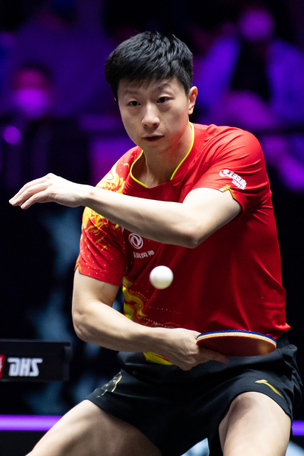 致新赛季的 致新赛季的